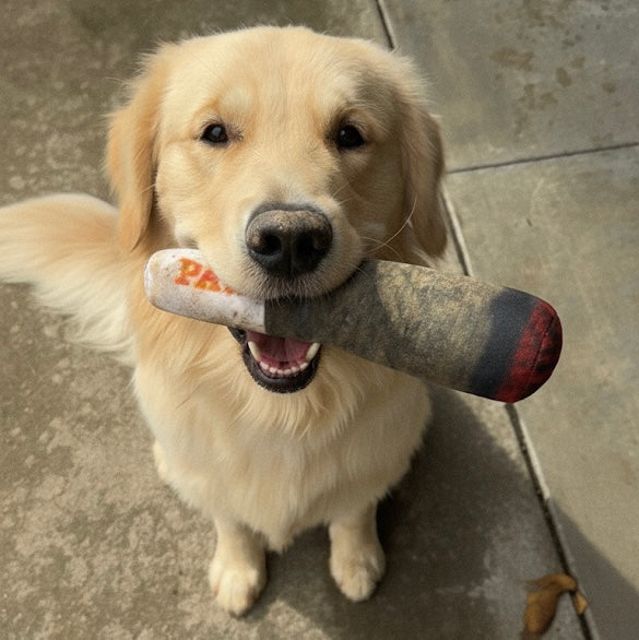 Joint Squeaky Toy