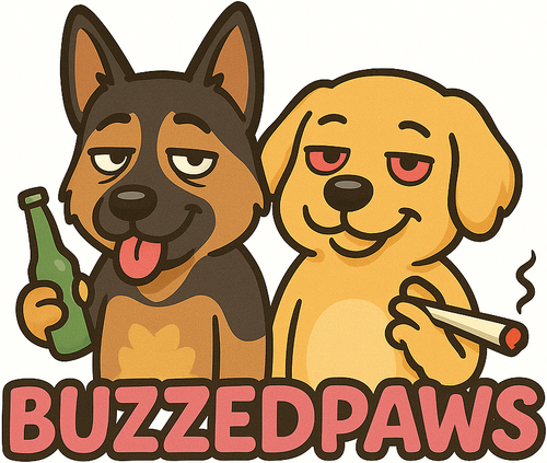 Buzzed Paws