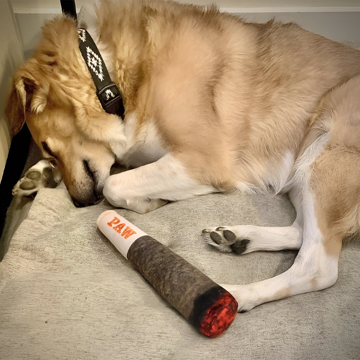 Joint Squeaky Toy