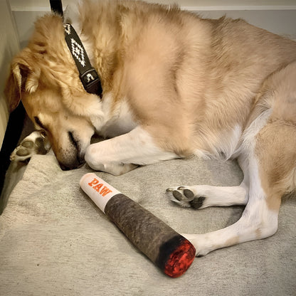 Joint Squeaky Toy